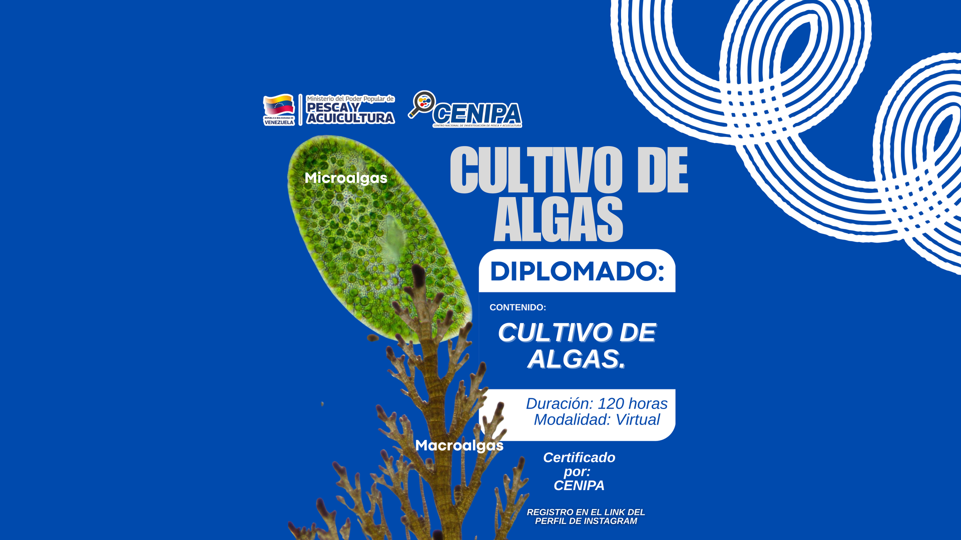 Diplomado Cultivo de Algas