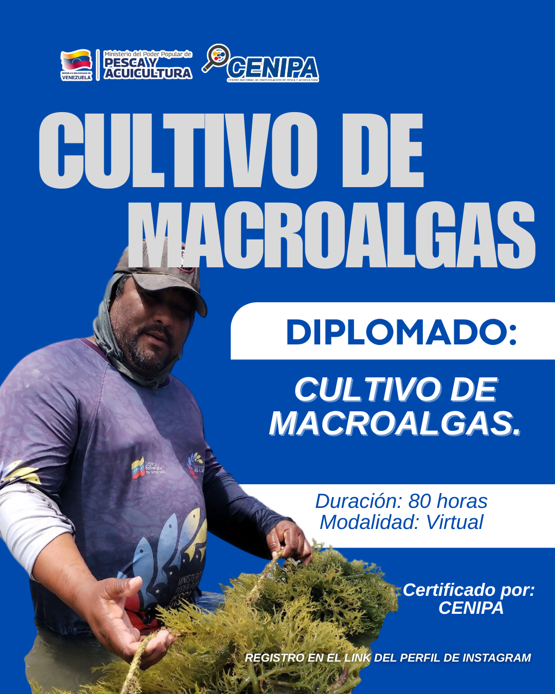 Diplomado Cultivo de Macroalgas